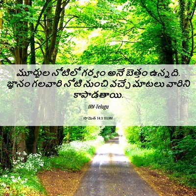 Picture 06 - సామెత 14:3 TELIRV - మూర్ఖుల నోటిలో - Bible Verse Picture