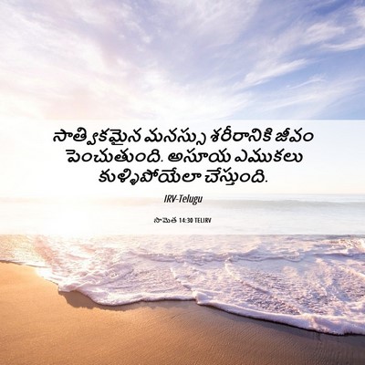 Picture 06 - సామెత 14:30 TELIRV - సాత్వికమైన మనస్సు - Bible Verse Picture