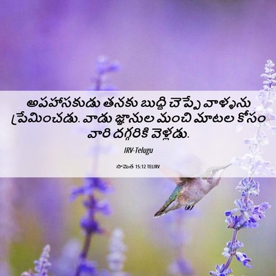 Picture 06 - సామెత 15:12 TELIRV - అపహాసకుడు తనకు - Bible Verse Picture