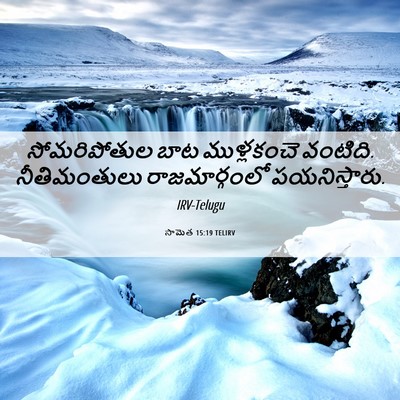 Picture 06 - సామెత 15:19 TELIRV - సోమరిపోతుల బాట - Bible Verse Picture