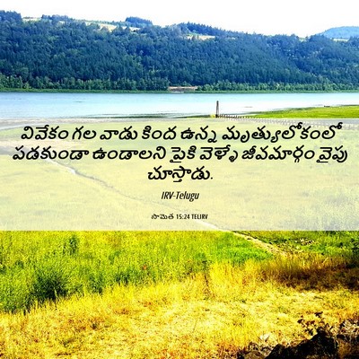 Picture 06 - సామెత 15:24 TELIRV - వివేకం గల వాడు - Bible Verse Picture