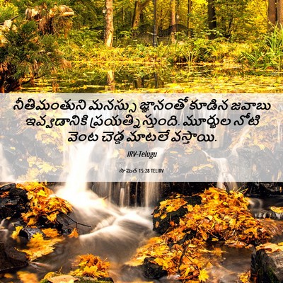 Picture 06 - సామెత 15:28 TELIRV - నీతిమంతుని మనస్సు - Bible Verse Picture