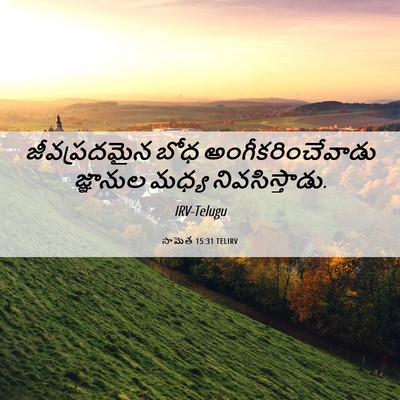 Picture 06 - సామెత 15:31 TELIRV - జీవప్రదమైన బోధ - Bible Verse Picture