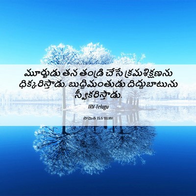 Picture 06 - సామెత 15:5 TELIRV - మూర్ఖుడు తన - Bible Verse Picture