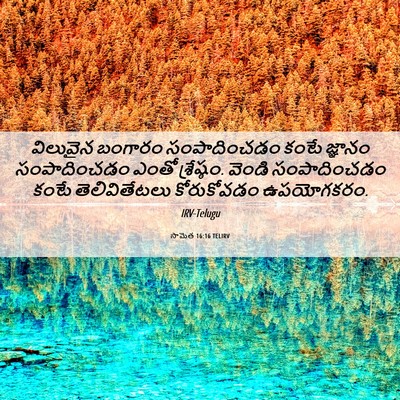 Picture 06 - సామెత 16:16 TELIRV - విలువైన బంగారం - Bible Verse Picture