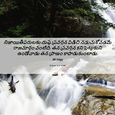 Picture 06 - సామెత 16:17 TELIRV - నిజాయితీపరులకు - Bible Verse Picture