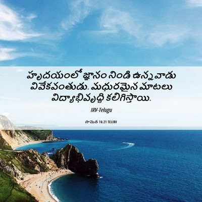 Picture 06 - సామెత 16:21 TELIRV - హృదయంలో జ్ఞానం - Bible Verse Picture