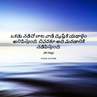 Picture 06 - సామెత 16:25 TELIRV - ఒకడు నడిచే బాట - Bible Verse Picture