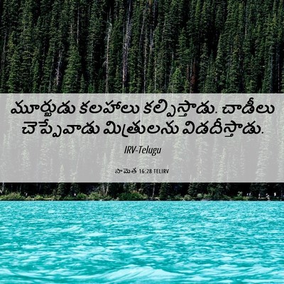 Picture 06 - సామెత 16:28 TELIRV - మూర్ఖుడు కలహాలు - Bible Verse Picture