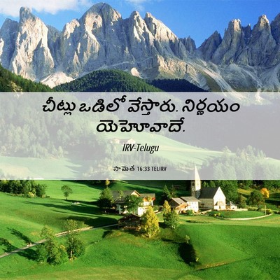 Picture 06 - సామెత 16:33 TELIRV - చీట్లు ఒడిలో - Bible Verse Picture