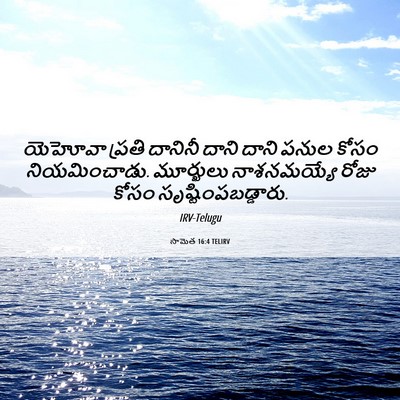Picture 06 - సామెత 16:4 TELIRV - యెహోవా ప్రతి - Bible Verse Picture