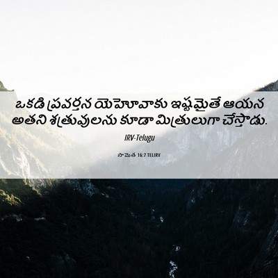 Picture 06 - సామెత 16:7 TELIRV - ఒకడి ప్రవర్తన - Bible Verse Picture