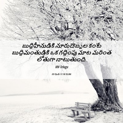 Picture 06 - సామెత 17:10 TELIRV - బుద్ధిహీనుడికి - Bible Verse Picture