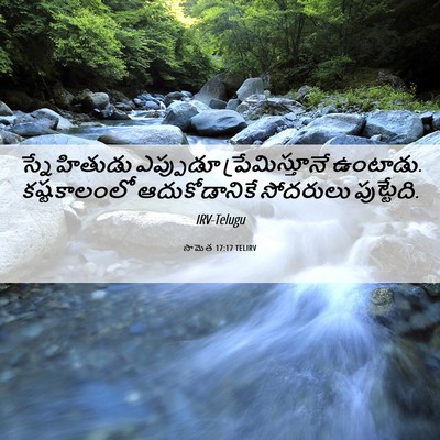 Picture 06 - సామెత 17:17 TELIRV - స్నేహితుడు - Bible Verse Picture