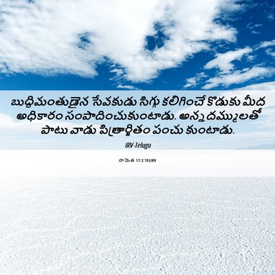 Picture 06 - సామెత 17:2 TELIRV - బుద్ధిమంతుడైన - Bible Verse Picture
