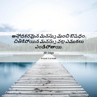Picture 06 - సామెత 17:22 TELIRV - ఆహ్లాదకరమైన - Bible Verse Picture