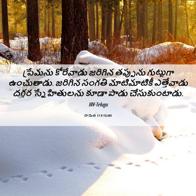 Picture 06 - సామెత 17:9 TELIRV - ప్రేమను కోరేవాడు - Bible Verse Picture