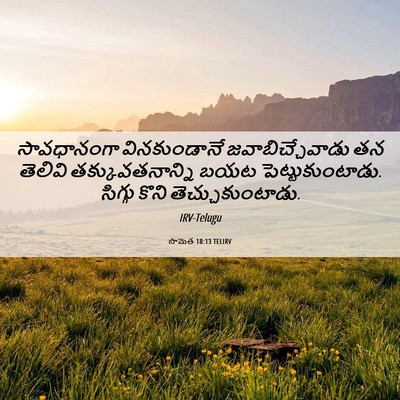 Picture 06 - సామెత 18:13 TELIRV - సావధానంగా - Bible Verse Picture