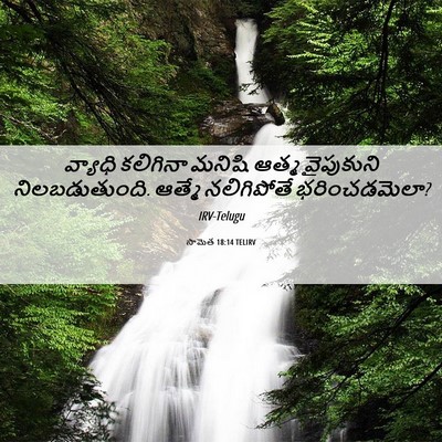 Picture 06 - సామెత 18:14 TELIRV - వ్యాధి కలిగినా - Bible Verse Picture