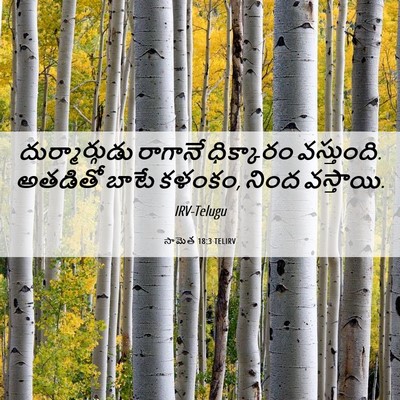 Picture 06 - సామెత 18:3 TELIRV - దుర్మార్గుడు - Bible Verse Picture