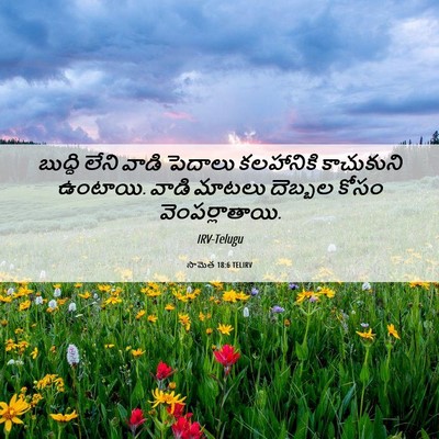 Picture 06 - సామెత 18:6 TELIRV - బుద్ధి లేని వాడి - Bible Verse Picture