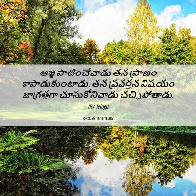 Picture 06 - సామెత 19:16 TELIRV - ఆజ్ఞ పాటించేవాడు - Bible Verse Picture