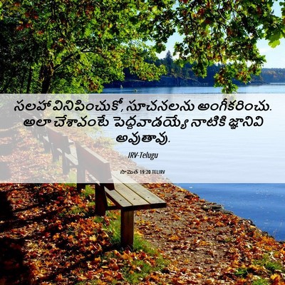 Picture 06 - సామెత 19:20 TELIRV - సలహా వినిపించుకో, - Bible Verse Picture