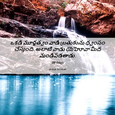 Picture 06 - సామెత 19:3 TELIRV - ఒకడి మూర్ఖత్వం - Bible Verse Picture