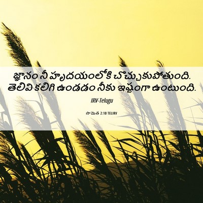 Picture 06 - సామెత 2:10 TELIRV - జ్ఞానం నీ - Bible Verse Picture