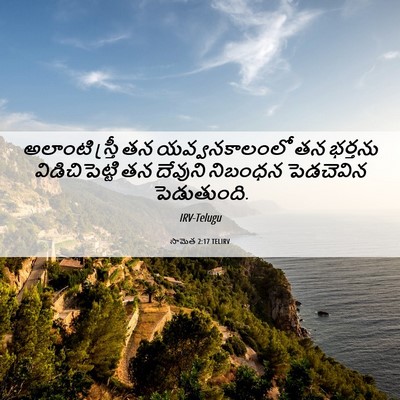 Picture 06 - సామెత 2:17 TELIRV - అలాంటి స్త్రీ తన - Bible Verse Picture