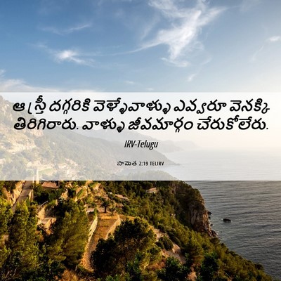 Picture 06 - సామెత 2:19 TELIRV - ఆ స్త్రీ దగ్గరికి - Bible Verse Picture