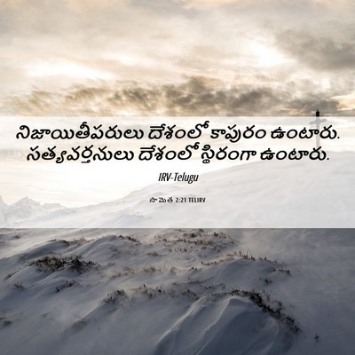 Picture 06 - సామెత 2:21 TELIRV - నిజాయితీపరులు - Bible Verse Picture