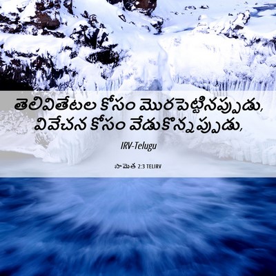 Picture 06 - సామెత 2:3 TELIRV - తెలివితేటల కోసం - Bible Verse Picture