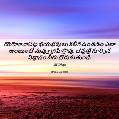 Picture 06 - సామెత 2:5 TELIRV - యెహోవాపట్ల - Bible Verse Picture