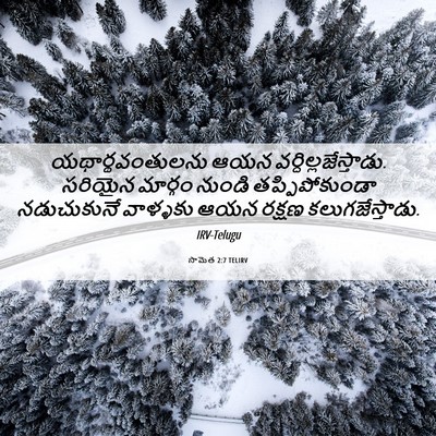 Picture 06 - సామెత 2:7 TELIRV - యథార్థవంతులను ఆయన - Bible Verse Picture