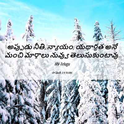Picture 06 - సామెత 2:9 TELIRV - అప్పుడు నీతి, - Bible Verse Picture
