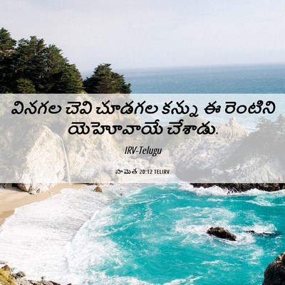 Picture 06 - సామెత 20:12 TELIRV - వినగల చెవి చూడగల - Bible Verse Picture