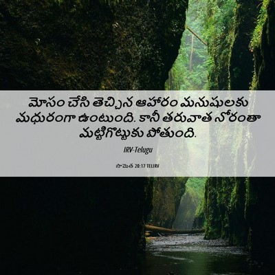 Picture 06 - సామెత 20:17 TELIRV - మోసం చేసి తెచ్చిన - Bible Verse Picture