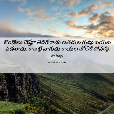 Picture 06 - సామెత 20:19 TELIRV - కొండేలు చెప్తూ - Bible Verse Picture