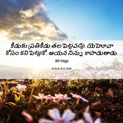 Picture 06 - సామెత 20:22 TELIRV - కీడుకు ప్రతికీడు - Bible Verse Picture