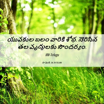 Picture 06 - సామెత 20:29 TELIRV - యువకుల బలం వారికి - Bible Verse Picture