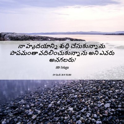 Picture 06 - సామెత 20:9 TELIRV - నా హృదయాన్ని - Bible Verse Picture