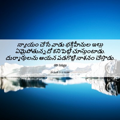 Picture 06 - సామెత 21:12 TELIRV - న్యాయం చేసే వాడు - Bible Verse Picture
