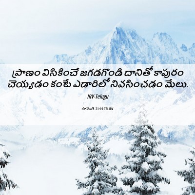 Picture 06 - సామెత 21:19 TELIRV - ప్రాణం విసికించే - Bible Verse Picture