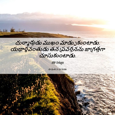 Picture 06 - సామెత 21:29 TELIRV - దుర్మార్గుడు ముఖం - Bible Verse Picture