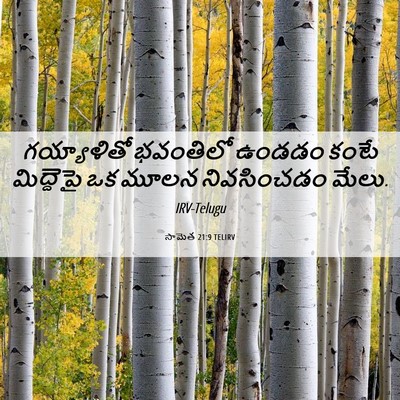 Picture 06 - సామెత 21:9 TELIRV - గయ్యాళితో భవంతిలో - Bible Verse Picture