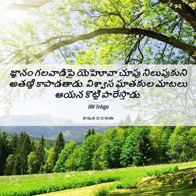 Picture 06 - సామెత 22:12 TELIRV - జ్ఞానం గలవాడిపై - Bible Verse Picture