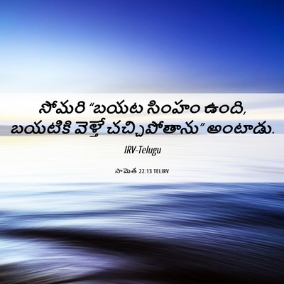 Picture 06 - సామెత 22:13 TELIRV - సోమరి “బయట సింహం - Bible Verse Picture
