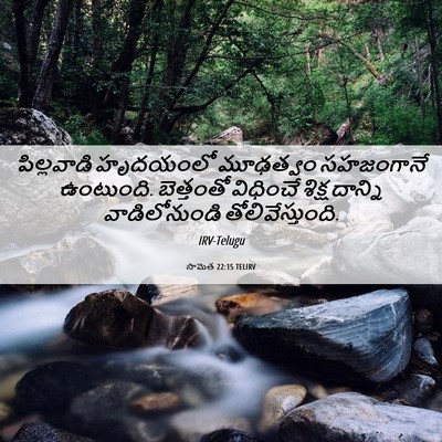 Picture 06 - సామెత 22:15 TELIRV - పిల్లవాడి హృదయంలో - Bible Verse Picture