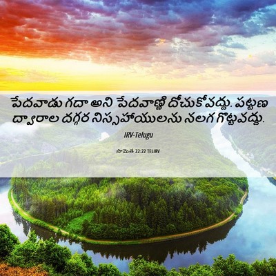 Picture 06 - సామెత 22:22 TELIRV - పేదవాడు గదా అని - Bible Verse Picture